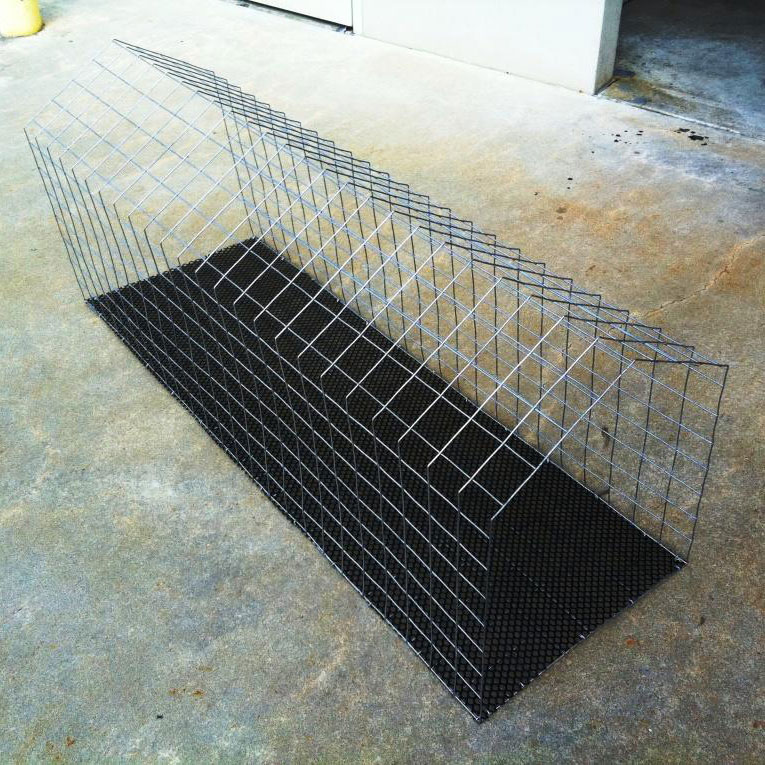 rampssquareIMG_0896 Cat Runs WA